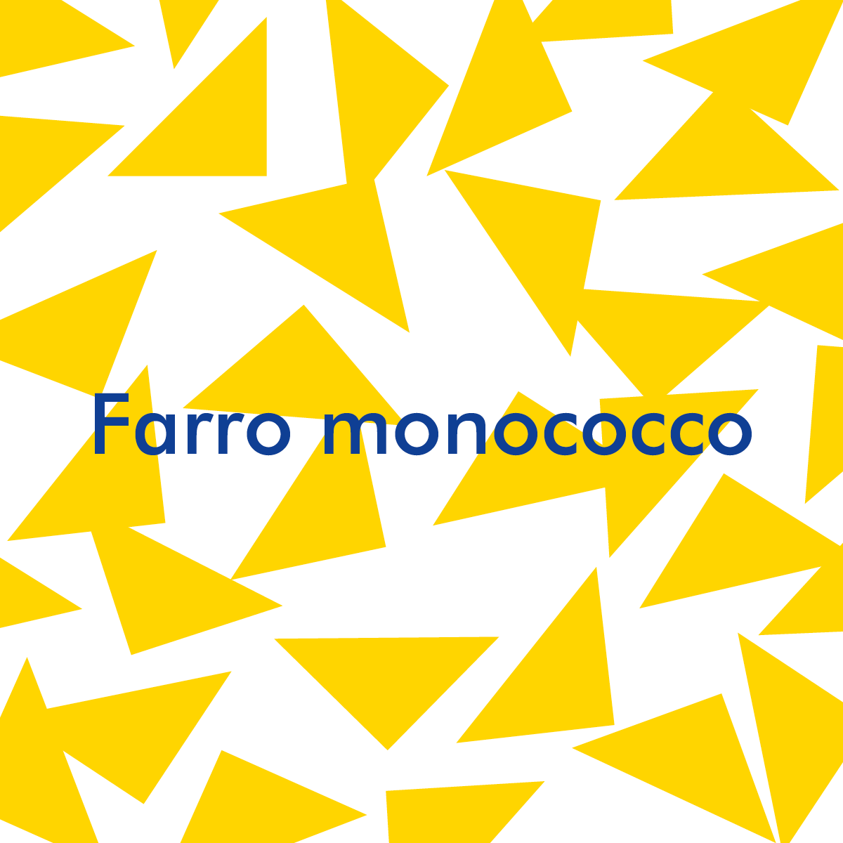 Farro monococco