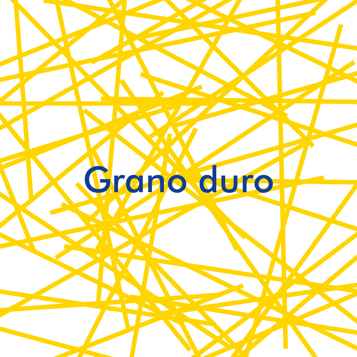 Grano duro