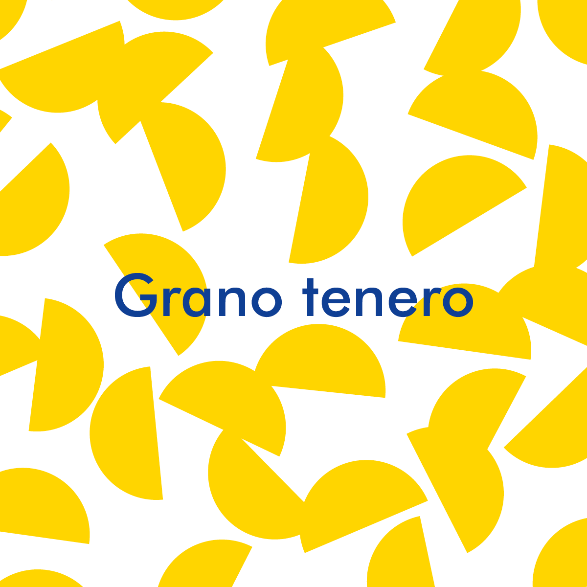 Grano tenero
